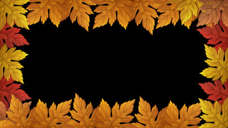 Autumn-colorful-leaves-thanksgiving-leaf-frame-animation-with-alpha-channel